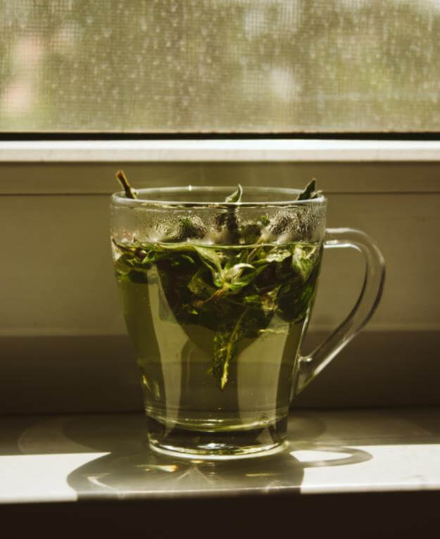 All of Green Tea Benefits for Skin, You Need to Know!