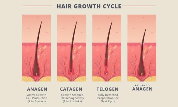 Laser Hair Removal Treatment: Some Things Need to Know Before You Choose!